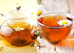 Thường xuyên uống một tách trà hoa cúc vào buổi tối có thể giúp cơ thể thư giãn thế nào?