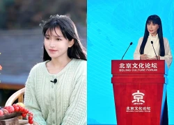 Tình hình hiện tại của Lý Tử Thất
