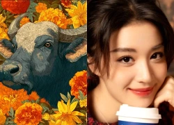 Tử vi 12 con giáp ngày 4/10/2026: Dần - Mão - Tỵ - Ngọ may mắn