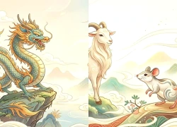 Từ 310/10: 4 tuổi dễ gặp cơ hội hợp tác mới, công việc có thêm hướng phát triển đáng chú ý