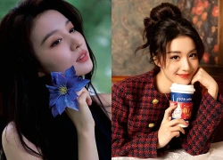 Tử vi thứ Bảy 3/10/2026 của 12 con giáp: Dần - Ngọ cầu được ước thấy, đếm tiền mỏi tay, Mão - Tỵ khốn khó tiền bạc, công việc trắc trở