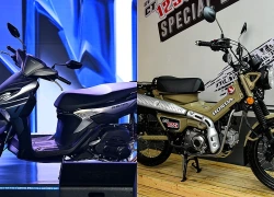 Xe máy từng nhập tư nhân giá đắt, nay bán chính hãng rẻ hơn