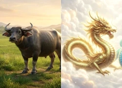 3 con giáp có khả năng tay trắng dựng nghiệp, càng trải nghiệm càng vững vàng về tiền bạc