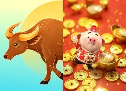 5 con giáp càng tự tại chịu thiệt, càng tích dày phúc khí về sau