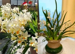 5 loài hoa cứ bung nở là cả căn nhà như được ướp hương, thơm đến mức hàng xóm đi ngang phải chạy vào hỏi xin một nhánh