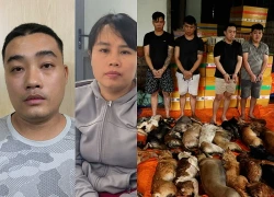 Bắt nhiều chủ quán thịt chó ở miền Bắc liên quan đường dây trộm chó ở TPHCM