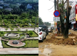 Chủ tịch Tổng Công ty Cây xanh Công Minh thu lợi 264 tỷ đồng, bị truy tố vắng mặt