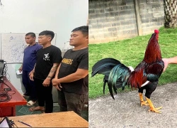 Cưỡng đoạt 3 con gà để trừ nợ, nhóm thanh niên bị khởi tố