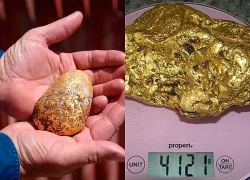 Đào đất, bất ngờ phát hiện cục vàng 1,2 kg trị giá hơn 4 tỷ đồng