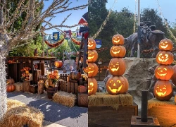 Europa-Park Đức: Ngôi làng bí ngô rực rỡ giữa mùa Halloween