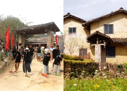 Lũng Cú 'cháy phòng' đầu mùa hoa tam giác mạch