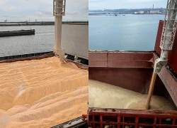 Nga cấp phép cho tàu chở ngũ cốc rời biển Azov lần đầu từ tháng 7