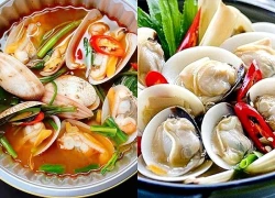 Người tiền sử dị ứng có nên ăn ngao, sò?