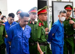 Nhân viên Mr Pips: "Từ người được ăn học tử tế, bị cáo thành kẻ bất lương"