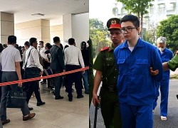 Nữ nạn nhân bị lừa 9 tỷ đồng trong vụ Mr Pips: "Các bị cáo rất tàn nhẫn"