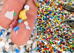 Phát hiện cơ chế tiềm ẩn khiến vi nhựa có thể gây tổn thương cho cơ thể