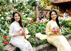 Tử vi hôm nay 29/10: 3 con giáp may mắn đủ đường, tài lộc tăng vọt, tiền về không ngừng, mỗi ngày đều vui vẻ