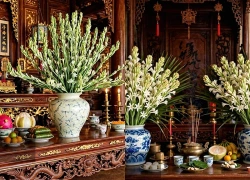 Vì sao người Việt lựa chọn hoa huệ làm hoa dâng cúng, bày trên bàn thờ?