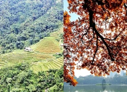 Việt Nam đứng thứ 4 trong xu hướng du lịch mùa Thu 2026