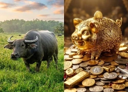 60 ngày cuối năm 2026: 3 con giáp Cầu Tài Đắc Tài, Cầu Lộc Được Lộc