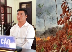 Đốt ong lấy mật gây cháy hơn 8ha rừng, người đàn ông lĩnh 2 năm tù
