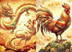 Đúng 0h ngày 1/11: 3 con giáp lật ngược thế cờ, tài lộc lội ngược dòng bất ngờ