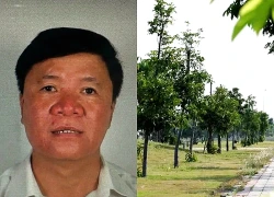 Hai người phụ nữ giúp sức cho "ông trùm" Cây xanh Công Minh đút túi 265 tỷ