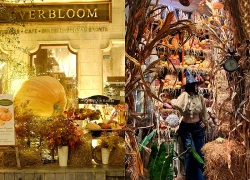 Quán cafe ở Hà Nội mạnh tay chi hàng trăm triệu đồng, 'biến hình' đón Halloween