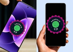 Lộ trình cập nhật Android 17 chính thức cho Samsung, Xiaomi, OPPO và các hãng di động lớn