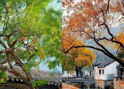 Tháng sinh Âm lịch của người có cuộc đời ít phải lo toan, hậu vận giàu sang