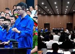 Mẹ của Mr Pips nói "con nông nổi, đã bị đồng tiền làm mờ mắt"