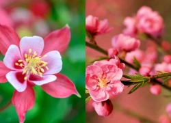 Từ sau ngày 5/10 dương lịch, 3 con giáp được Thần Tài sủng ái, giàu sang tự gõ cửa, tiền đẻ ra tiền