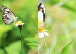 Tháng sinh Âm lịch của người có số công thành danh toại, càng về sau càng giàu có