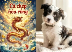 5 ngày tới cá Chép hóa Rồng: 3 con giáp may mắn Trúng Số giải to nhất, tiền về như nước Sông Đà
