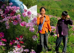 Gia đình người Mông trồng vườn hoa 1.000m đẹp như cổ tích ở Tà Xùa