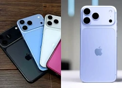 Gợi ý chọn màu iPhone 18 Pro và iPhone 18 Pro Max cho iFan