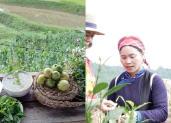 Kết nối di sản văn hóa ruộng bậc thang
