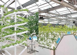 Kinh nghiệm số hóa nông nghiệp của Trung Quốc