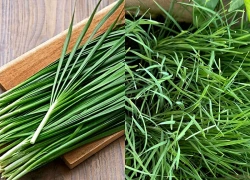Loại rau gia vị quen thuộc nên ăn thường xuyên, tốt cho tiêu hóa và tim mạch