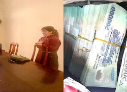 Lừa vay đáo hạn ngân hàng, người phụ nữ bị cáo buộc chiếm đoạt 7,3 tỷ đồng