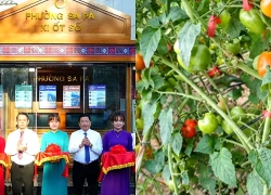 Nơi mây trắng gặp khát vọng xanh