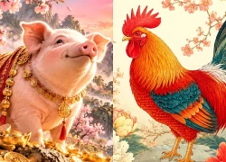 Top 3 con giáp có "lộc" đất cát