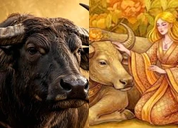 Tử vi hôm nay, xem tử vi 12 con giáp hôm nay ngày 6/10/2026: Tuổi Tỵ công việc thành công
