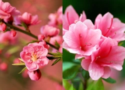 Mừng 3 con giáp may mắn hưởng trọn cơn mưa Tài Lộc, xoay chuyển càn khôn, bước vào thời kì đại vận, công thành danh toại trong tháng 11, 12/2026