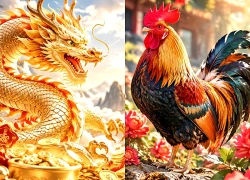 Tử vi tuần 5-11/10: 2 con giáp được “Sếp” ghi nhận, 1 con giáp cẩn thận bị lật kèo