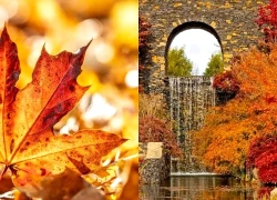 Tử vi tuần mới 5/10 - 11/10/2026: Tuổi Sửu tháo gỡ vướng mắc, tuổi Mùi cần kiên nhẫn hơn