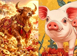 5/10 - 11/10 Tuần mới Tiền tới, 3 con giáp Phước dày Lộc lớn