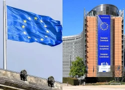 Ukraine có thể bị hạn chế trợ cấp nông nghiệp nếu gia nhập EU
