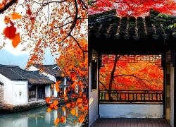 3 ngày sinh âm lịch của người Tích Lũy Đủ Đầy Phúc Tài, Phú Quý Sinh Sôi, Càng Già Càng Giàu