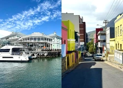 Cape Town: Nhịp đập văn hóa đường phố và những mảng màu rực rỡ